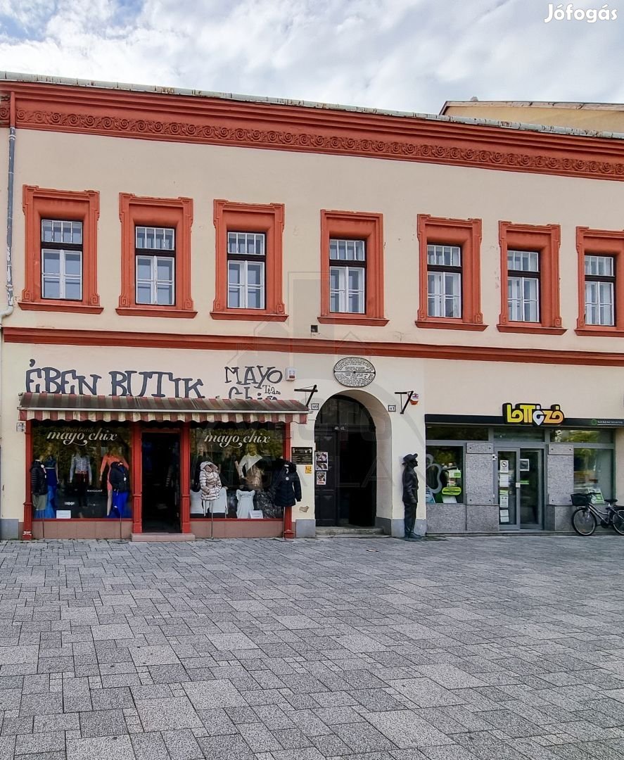 Előnézeti kép