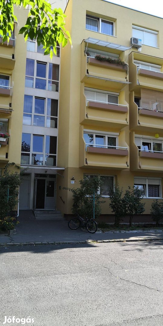 Kiadó Győrben földszint 30 -nm-es 1 szobás panelprogramos lakás