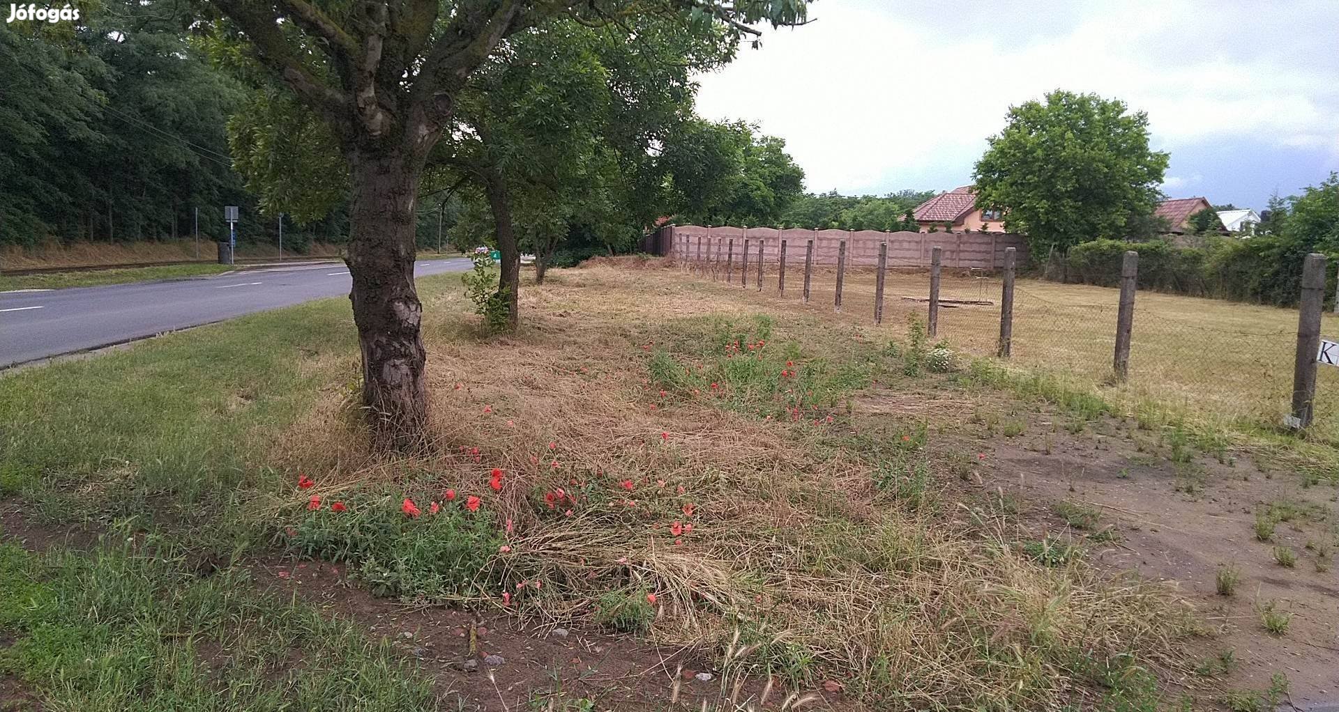 Kiadó Telephely, raktár, üzleti gazdasági terület Debrecen Diószegi út