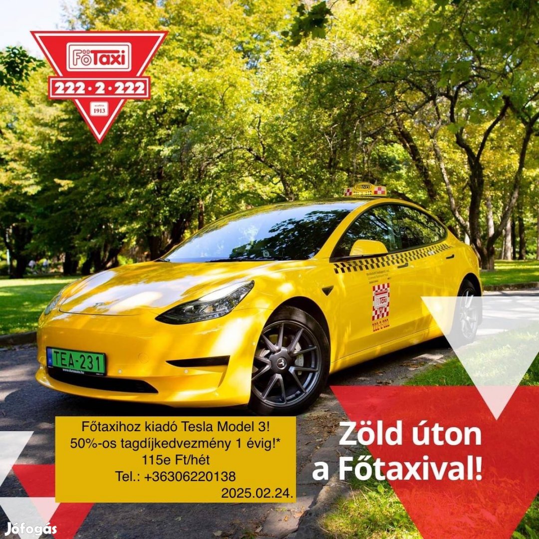 Kiadó Tesla Model 3 Taxi! Főtaxi!