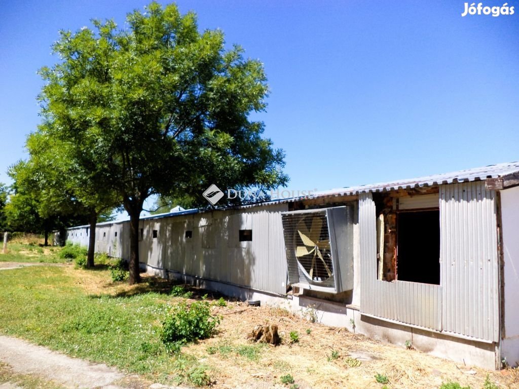 Kiadó ipari, Gárdony