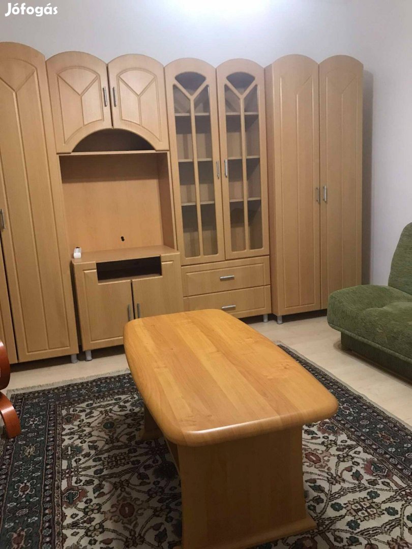 Kiadó lakás Debrecenben az Ótemető utcai De-MK Campus mellett albérlet