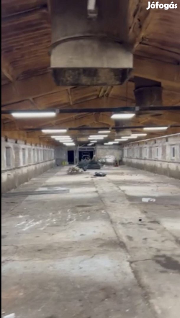 Kiadó raktár, csarnok, műhely