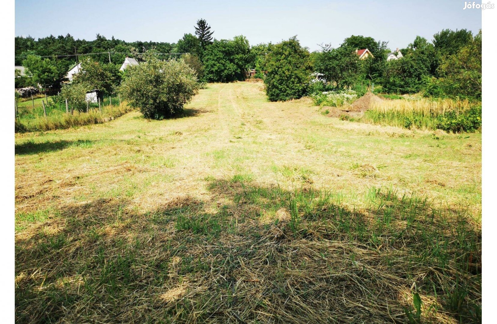 Kiadó telek kiadó föld kiadó földterület kiadó mezőgazdasági terület