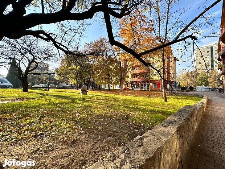 Kiadó üzlethelyiség - Budapest XX. kerület, Erzsébetfalva