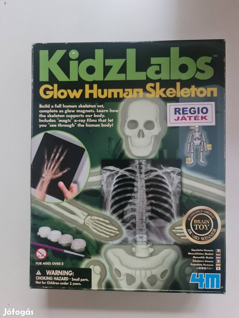 Kidz Labs human skeleton glow 4D gipszkiöntő