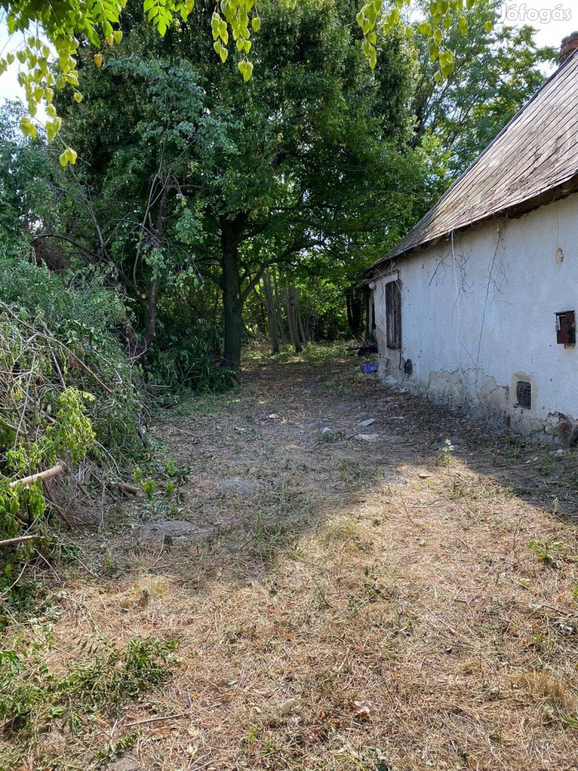 Kihagyhatatlan Ajánlat - Bérleti dij mentes telek és ház használat - S