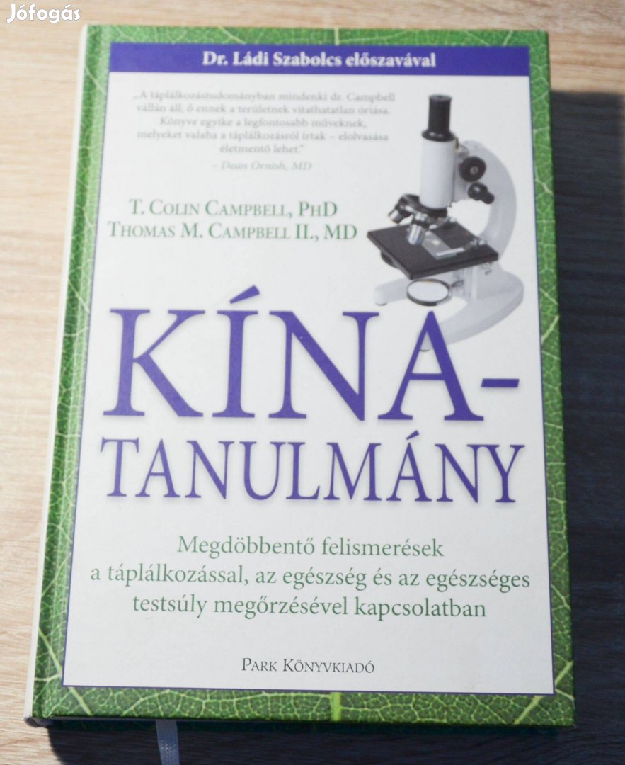 Kína-tanulmány