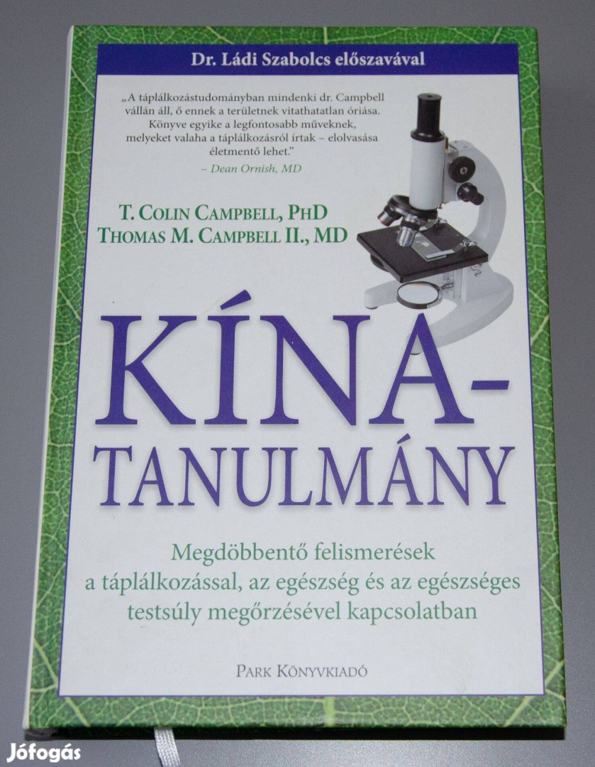 Kína-tanulmány