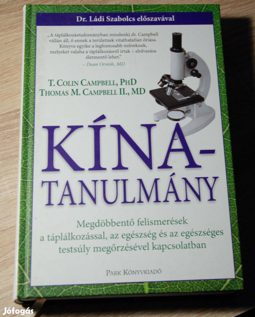 Kína-tanulmány