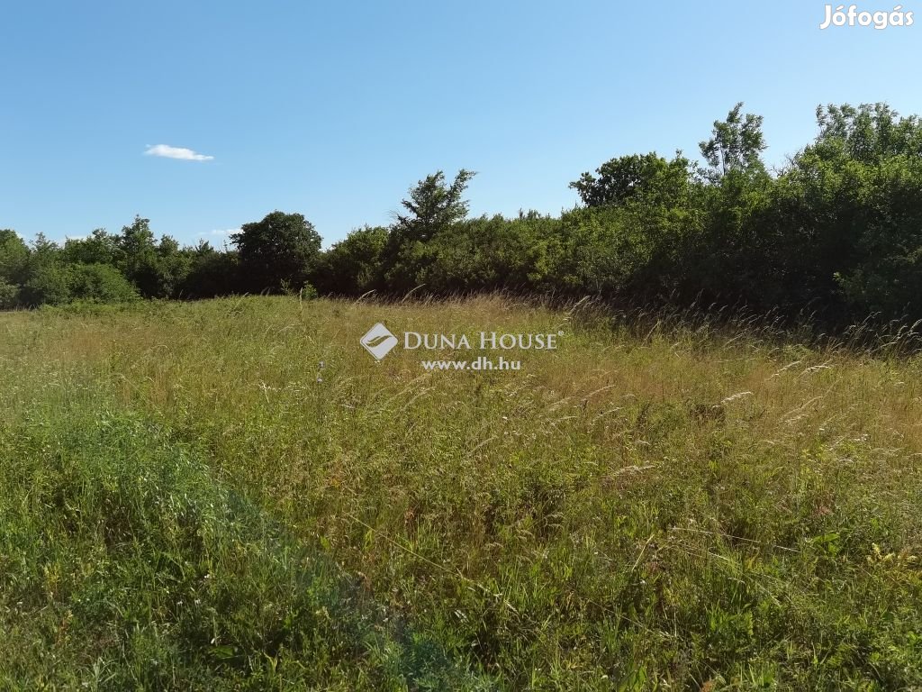Kincsesbányai eladó 1077 nm-es telek