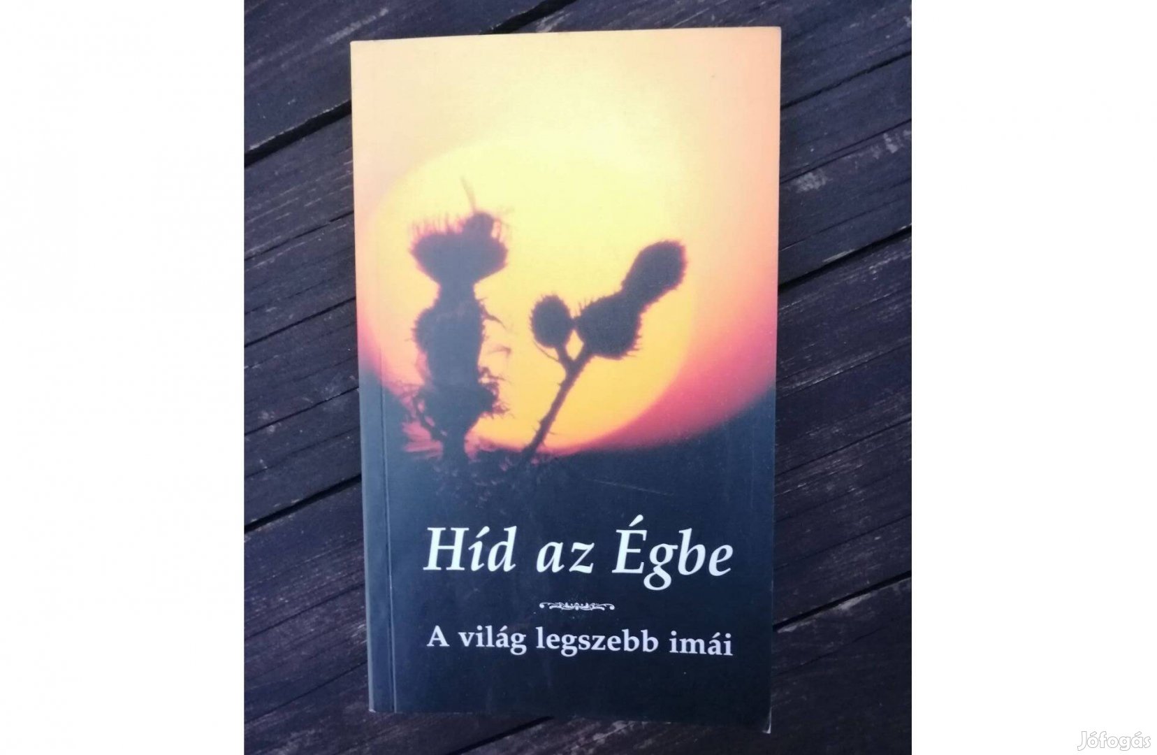 Kindelmann Győző Híd az égbe