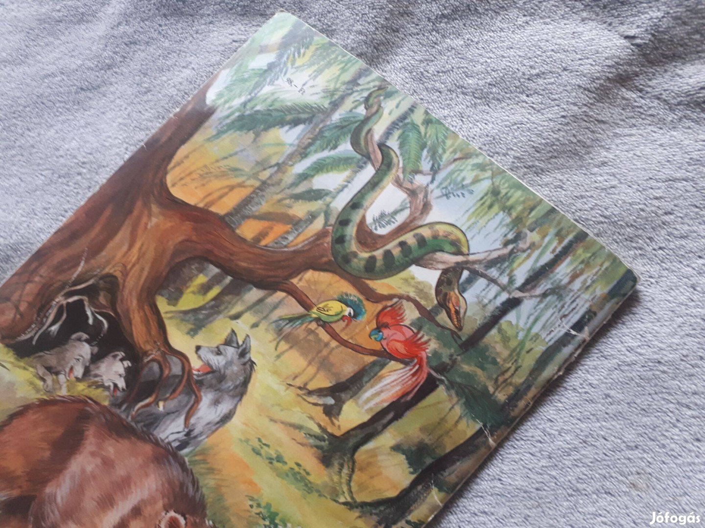 Kipling: A dzsungel Könyve Jálics Gyula rajzaival