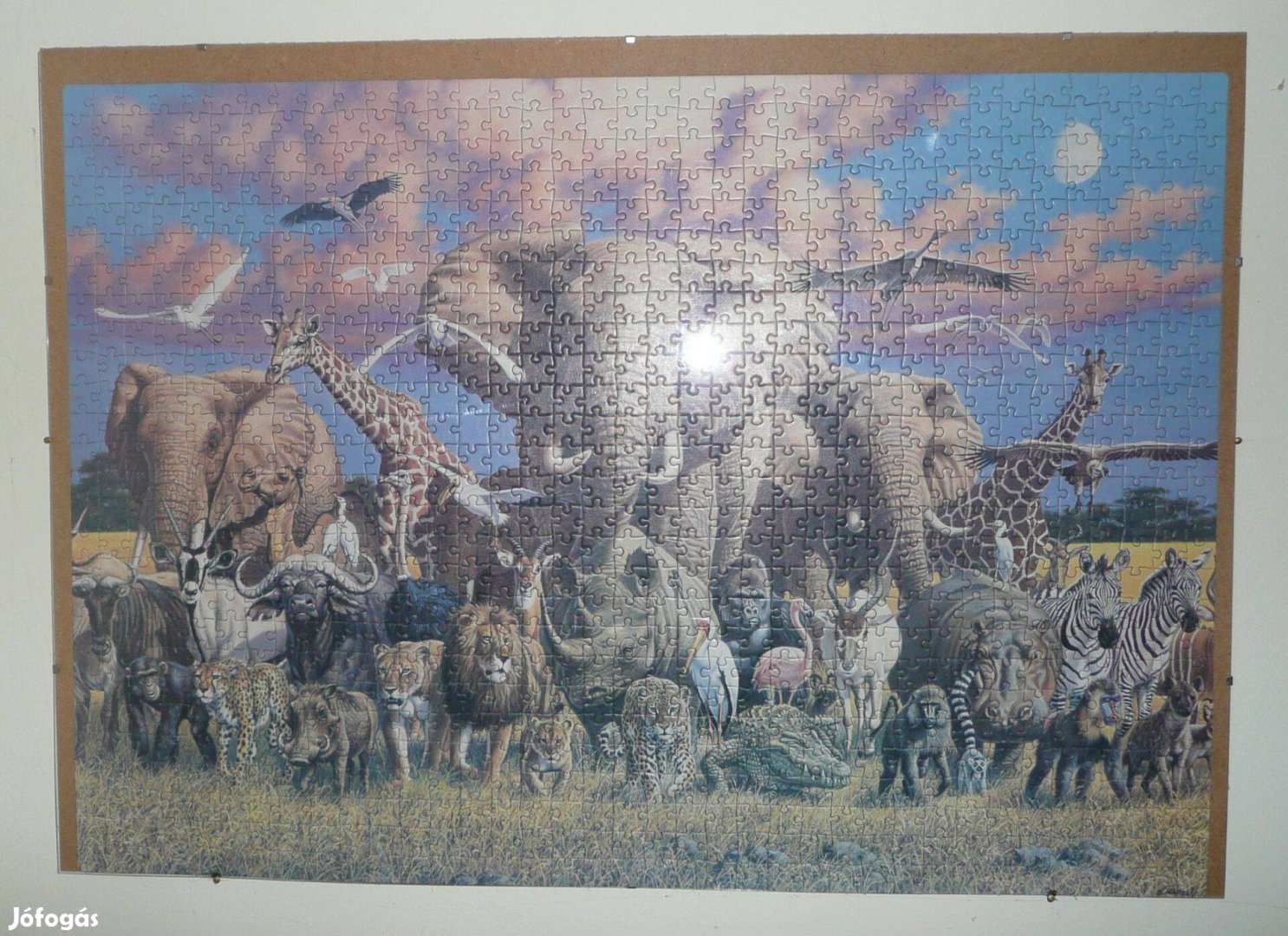 Kirakott Puzzle Kép Szafari Üvegkeretben, 1000 DB-OS, 50x70 CM