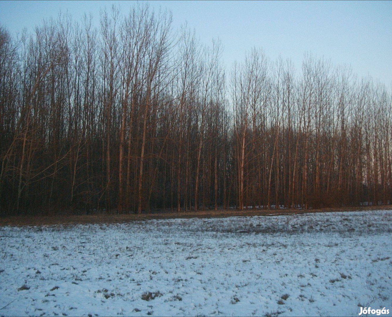 Kis-Csengőd 12 hektáros erdő ( Budapest-Belgrád vasútvonal mellett)