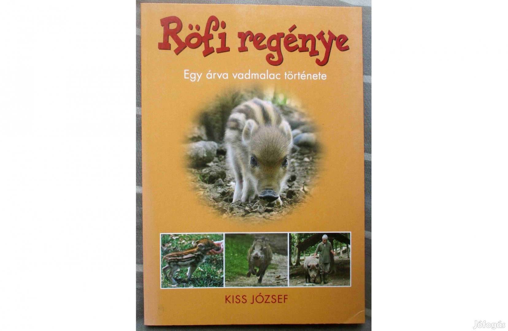 Kis József: Röfi regénye - Egy árva vadmalac története
