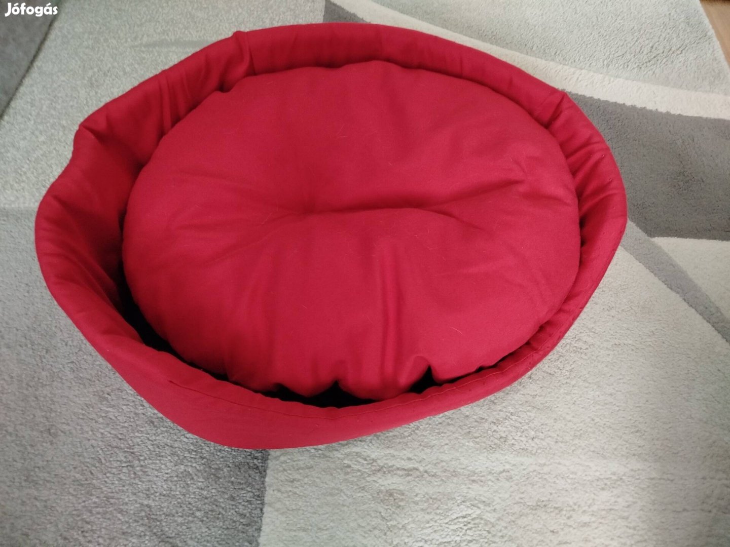 Kis állat fekhely eladó