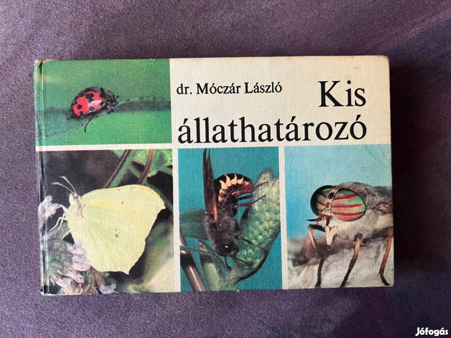 Kis állathatározó