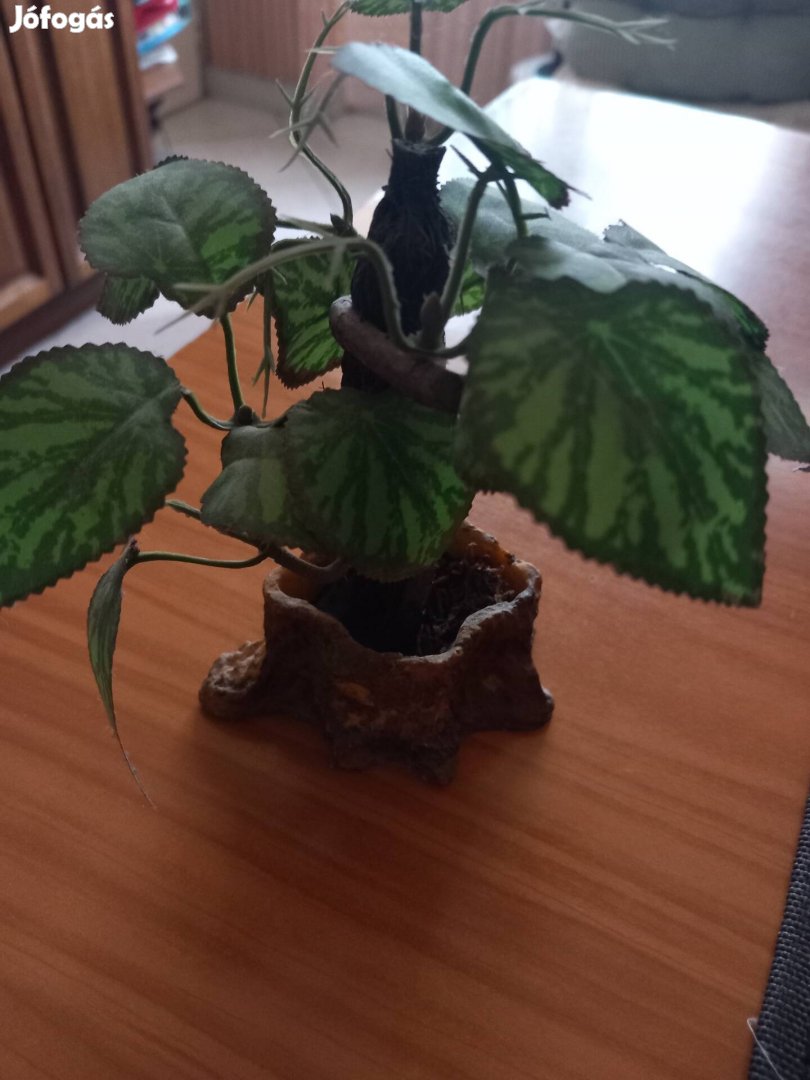 Kis bonsai művirágból