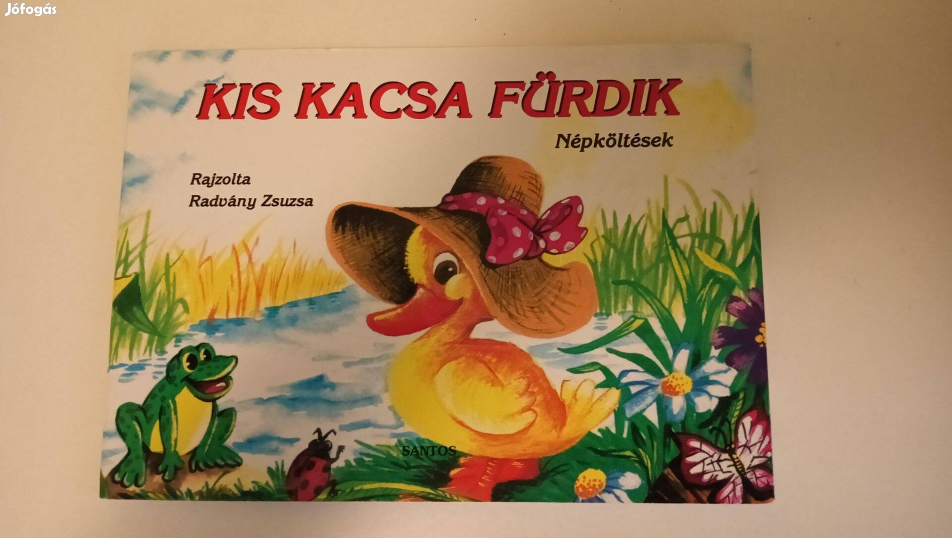 Kis kacsa fürdik leporello