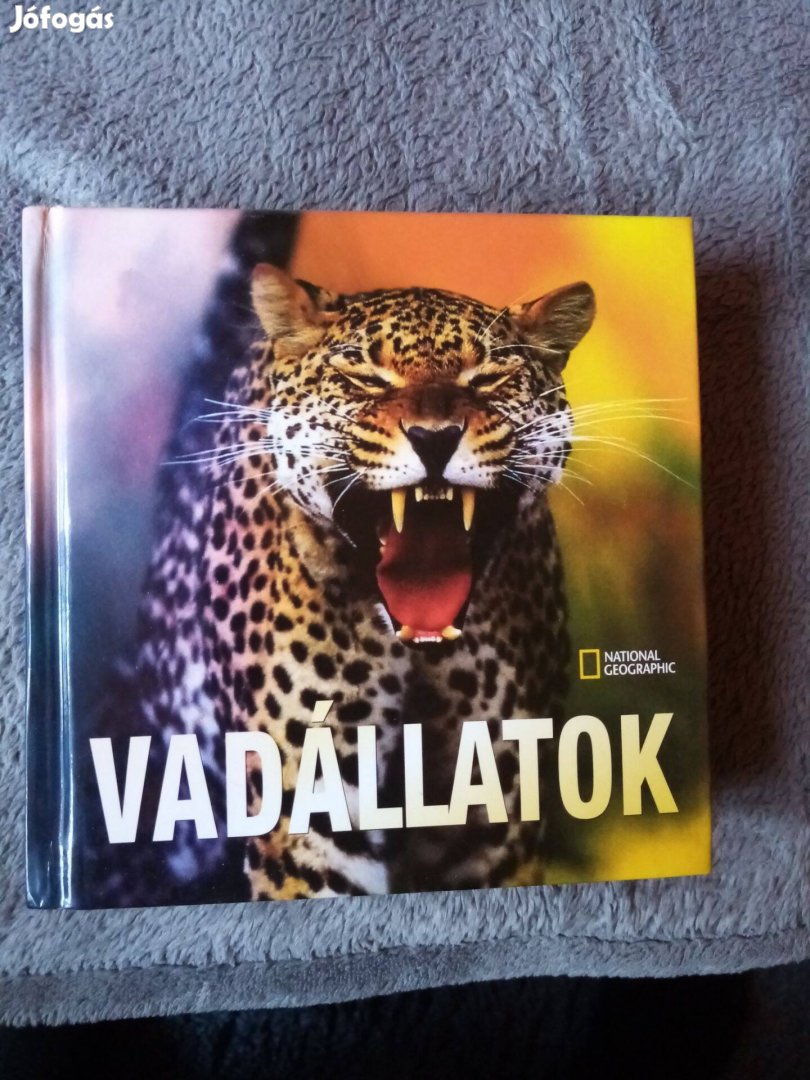 Kis képes albumok