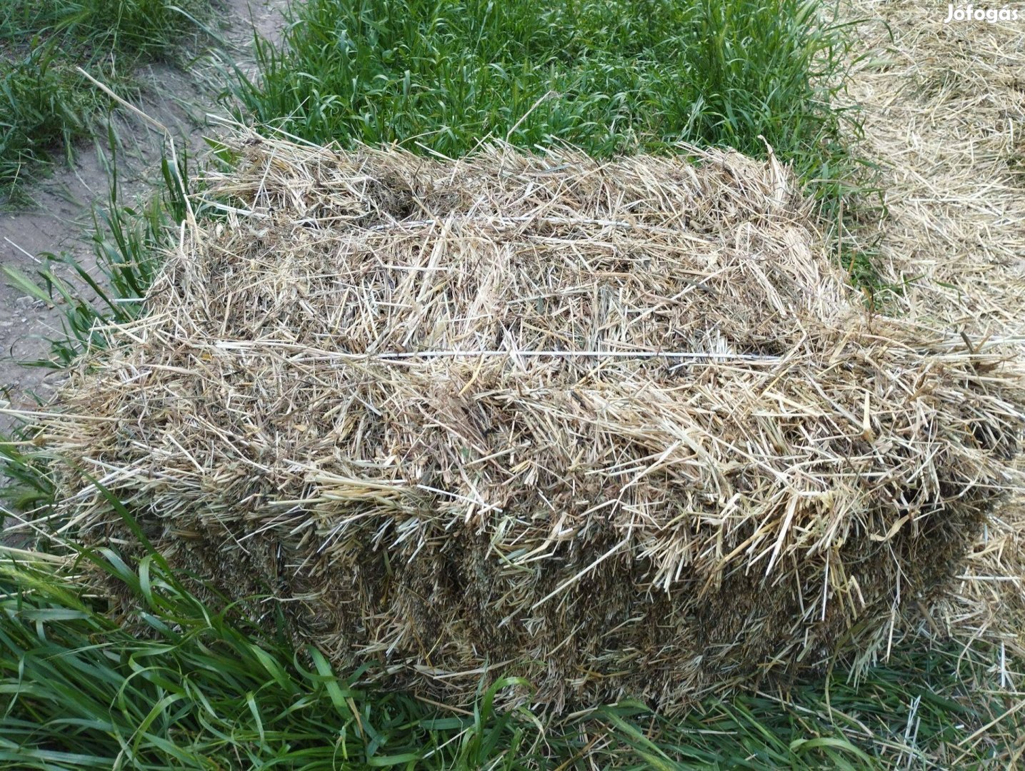 Kis kocka széna bála
