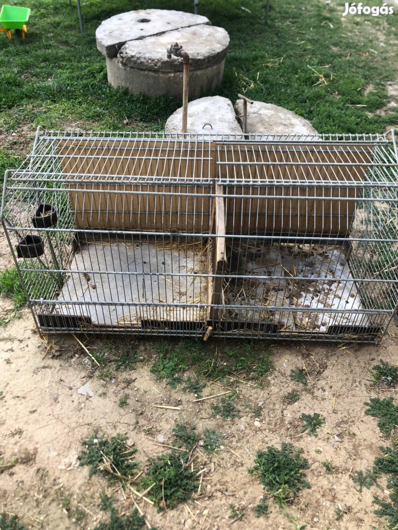 Kisállat ketrec