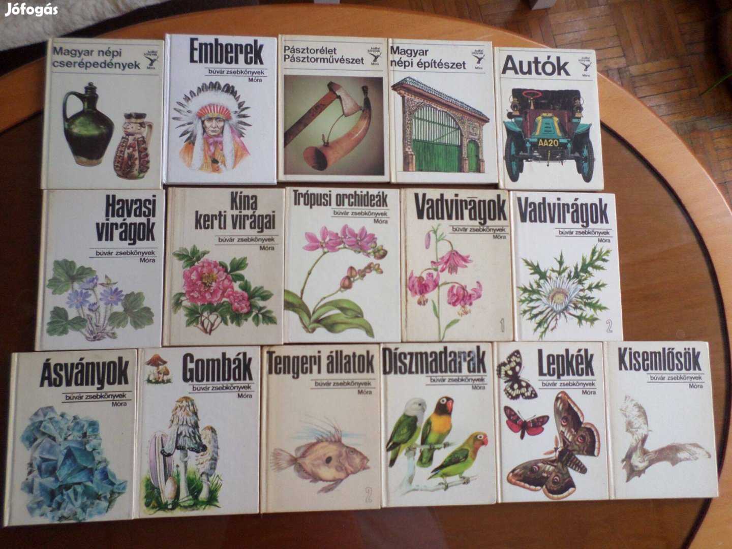 Kisemlősök Búvár zsebkönyv, kolibri könyvek, Gyermekkönyv