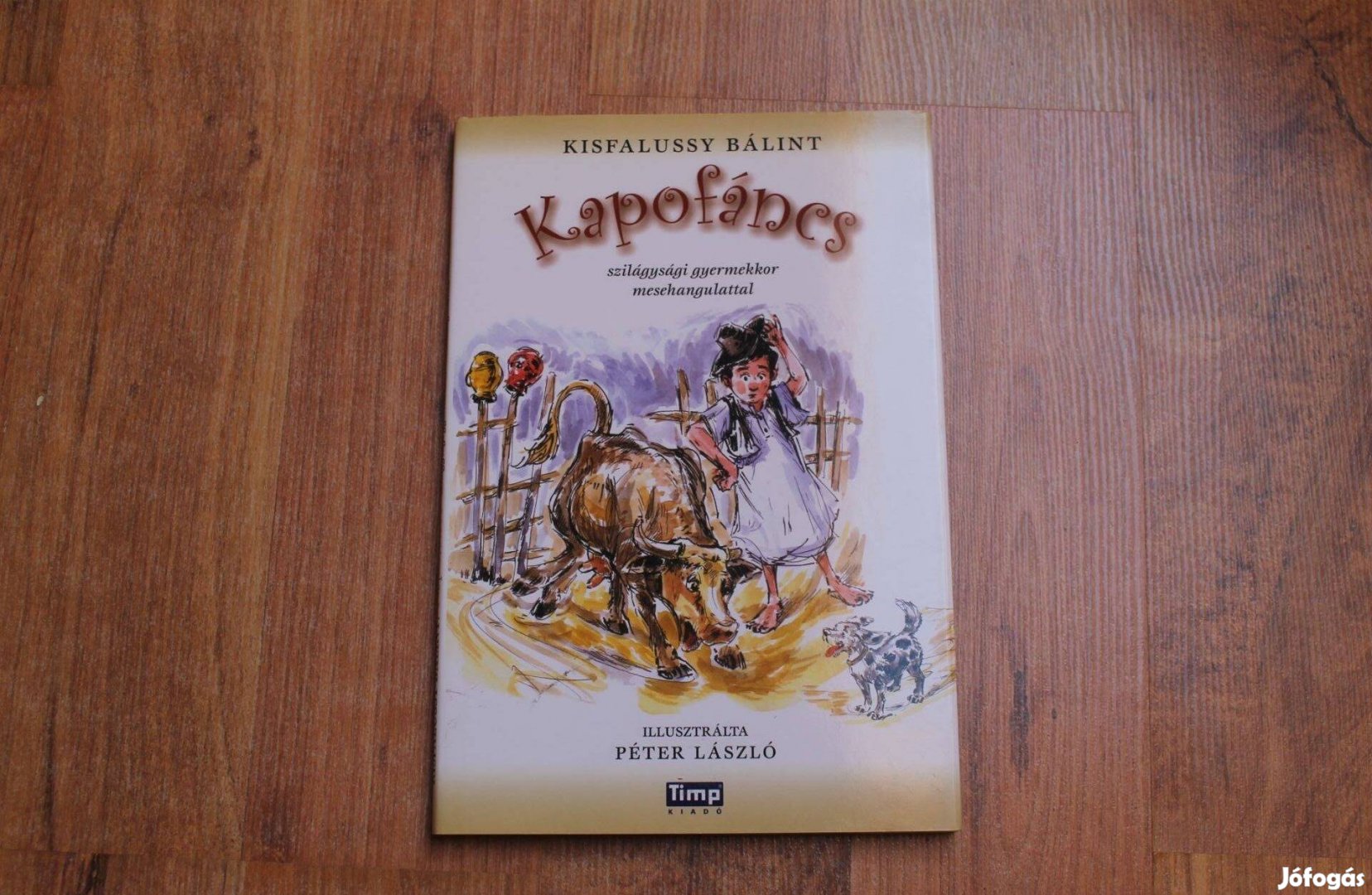 Kisfalussy Bálint - Kapofáncs szilágysági mesék