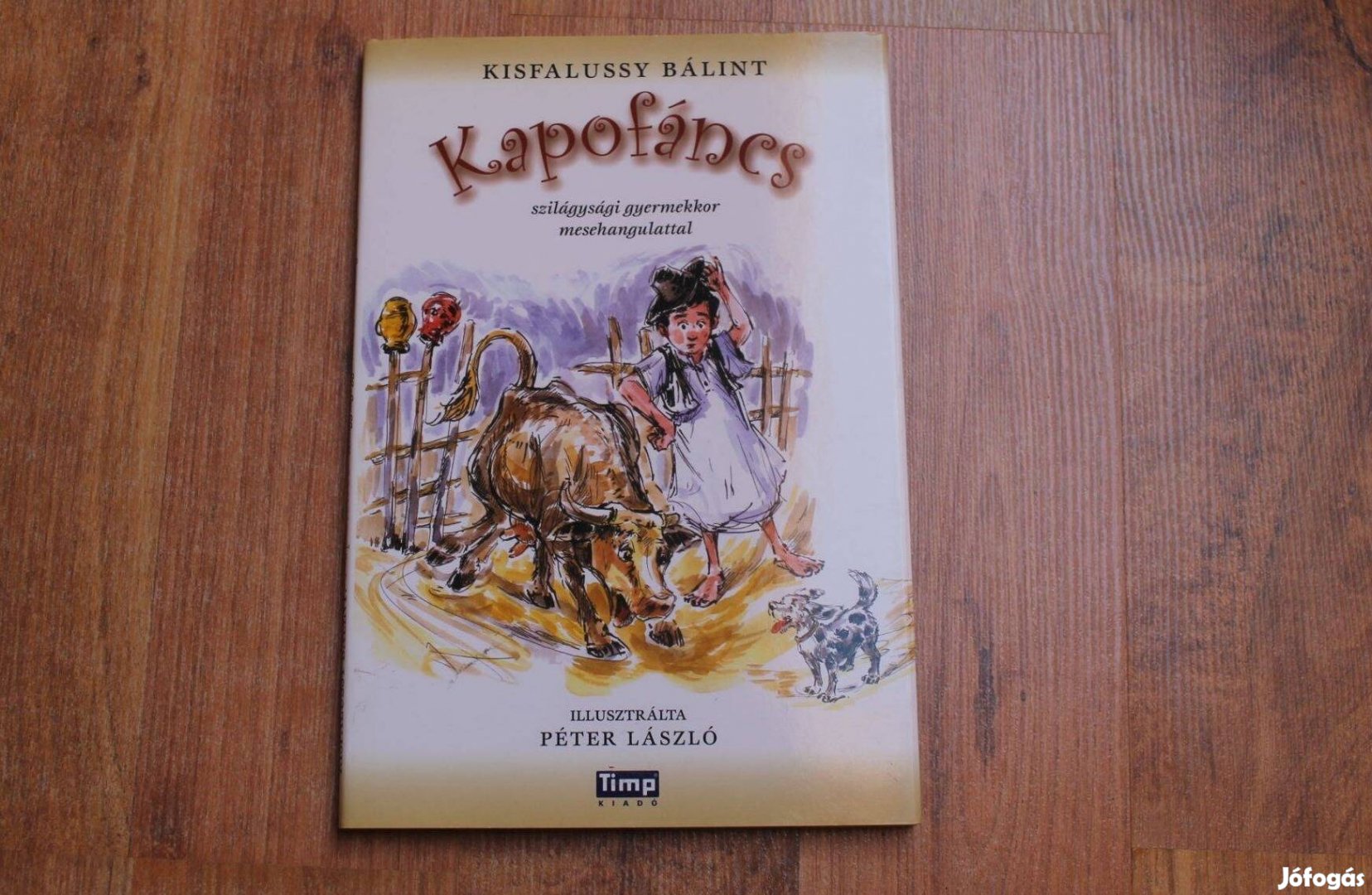 Kisfalussy Bálint - Kapofáncs szilágysági mesék