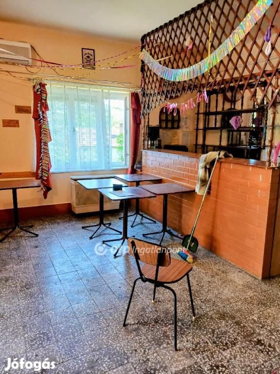 Kisfüzesi 170 nm-es ház eladó