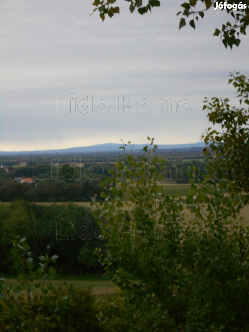 Kisgörbőn, tájpanorámás pince, lehet az Ön kincse!