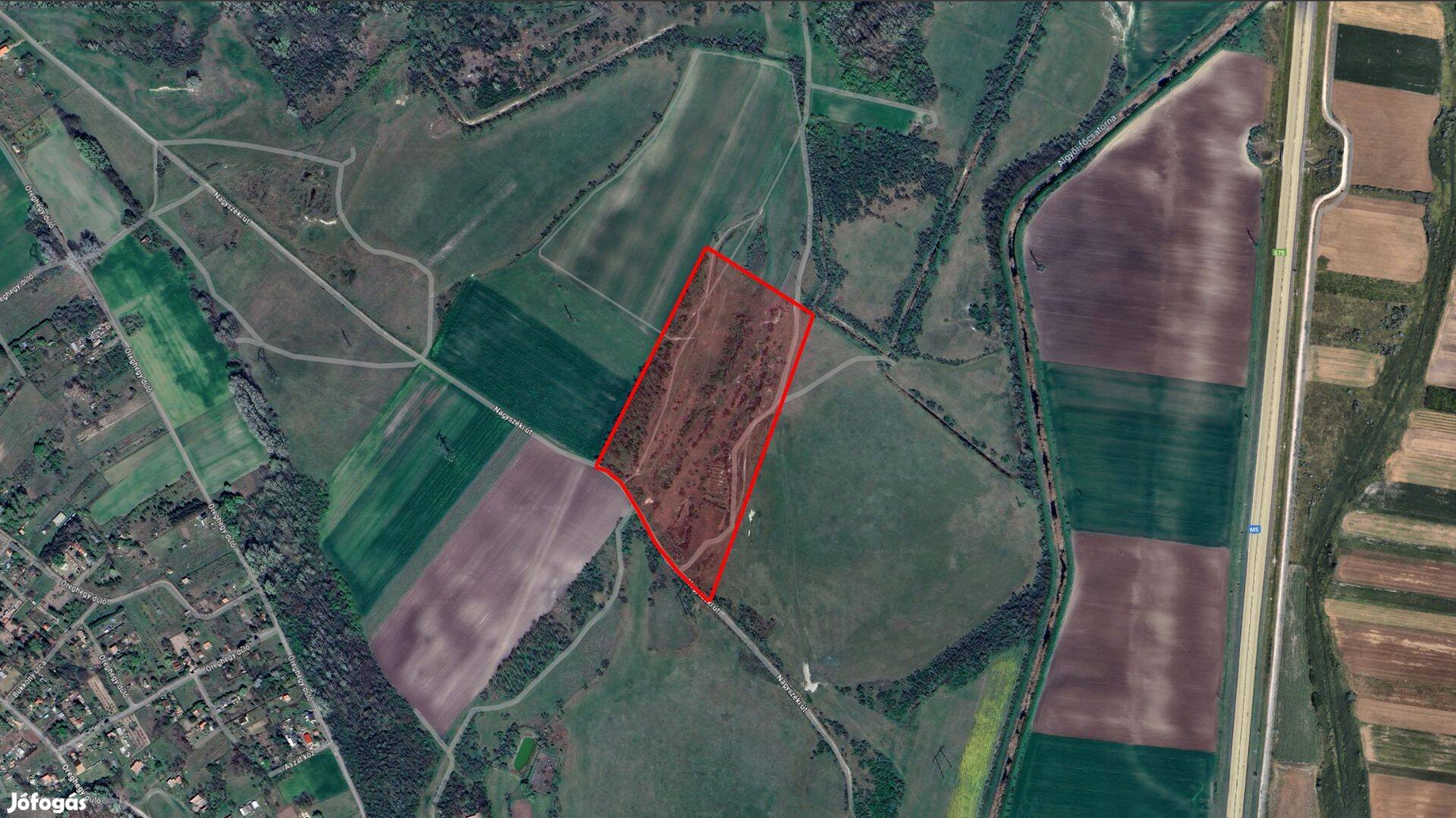 Kiskundorozsma, 5,8 ha rét legelő - támogatással