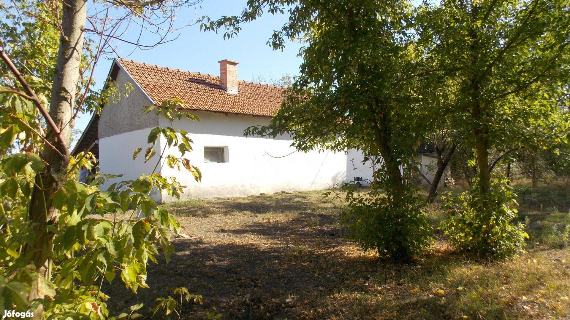 Kiskunfélegyháza és Jászszentlászló között tanya eladó