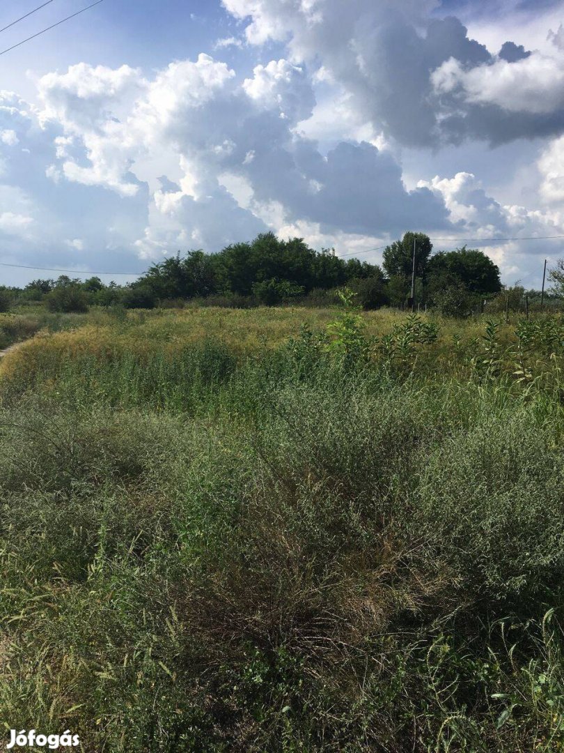 Kiskunhalason 5056 m2 építési telek eladó!