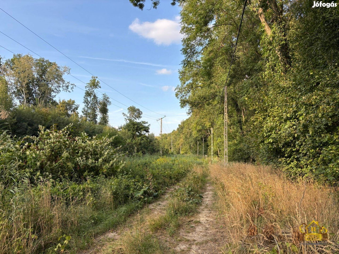 Kiskunlacházán ikerházak építésére alkalmas telekegyüttes! 1187