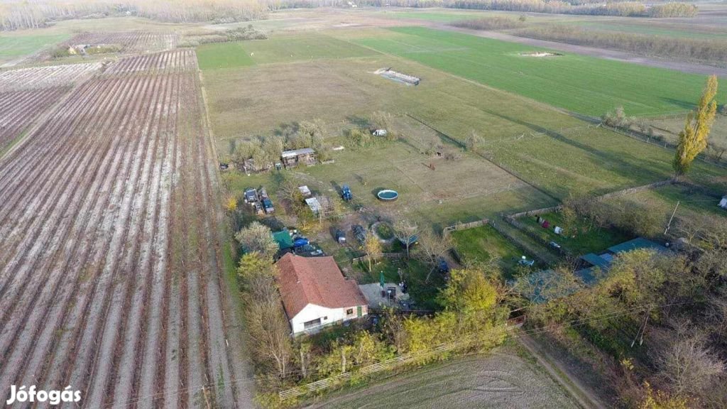 Kiskunmajsa, Többgenerációs tanya közel két hektáros területen eladó,