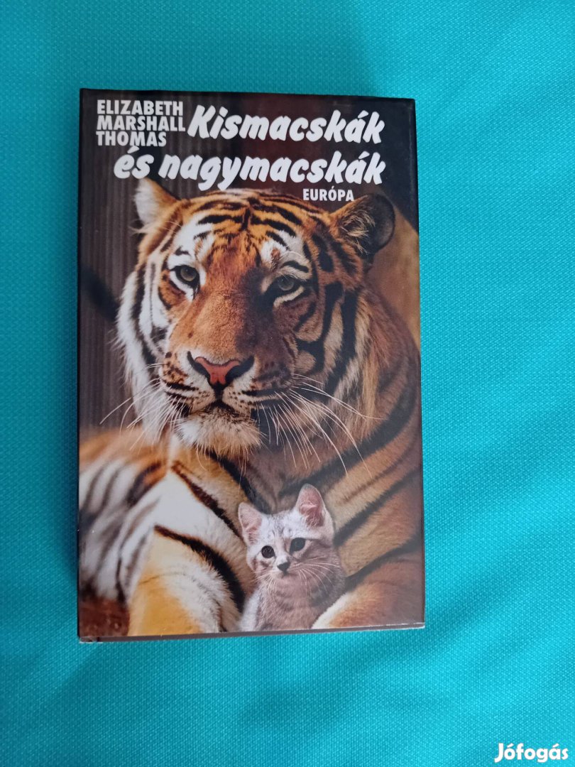 Kismacskák és nagymacskák ( Elizabeth Marshall Thomas )