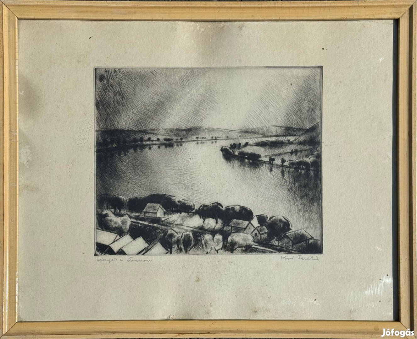 Kiss Terézia - Fények a Dunán