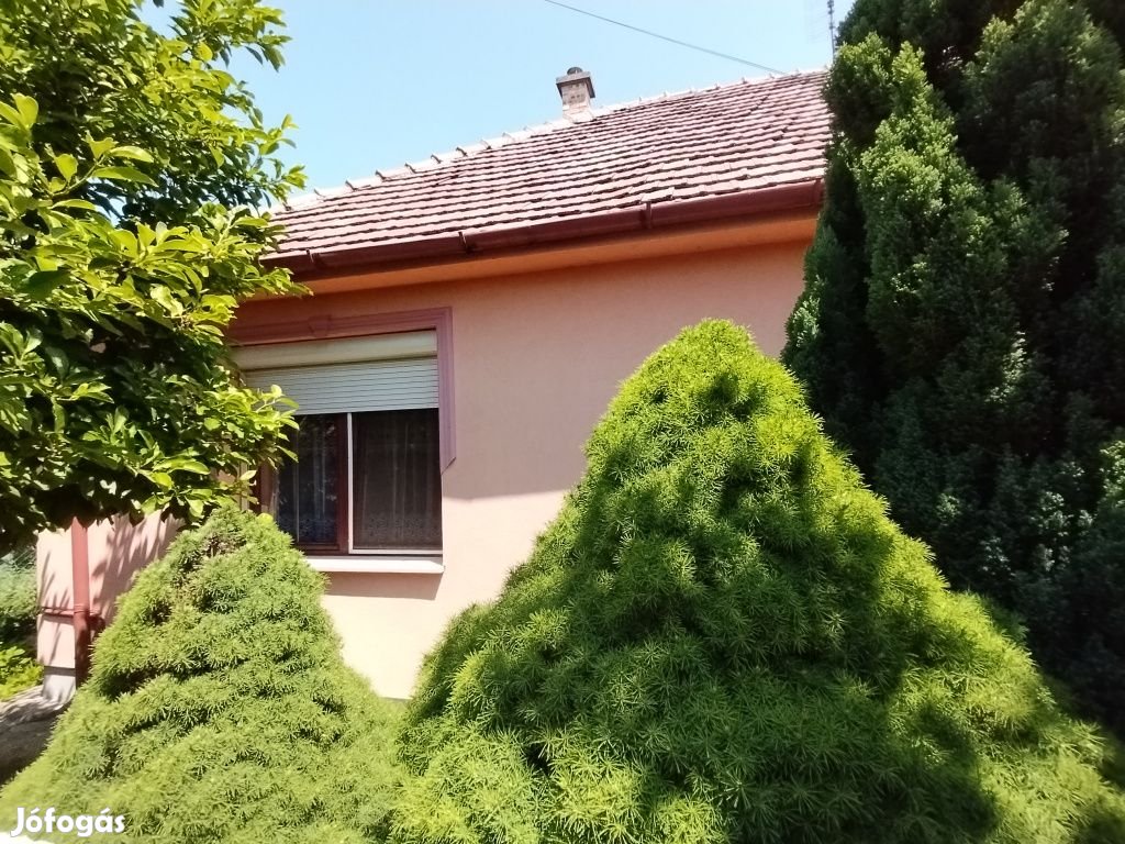 Kistarcsa, Aulich Lajos utca környéke, 140 m2-es, 2 generációs,