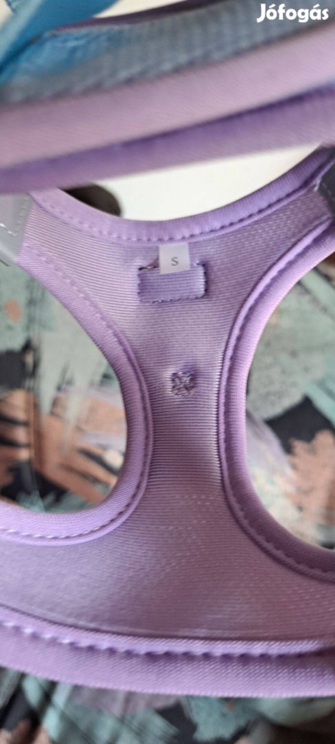 Kistestű állat hám s méret