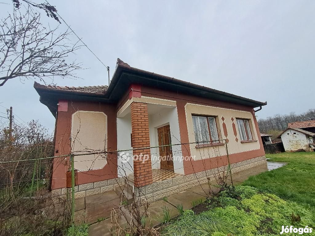 Kisújszállási 109 nm-es ház eladó