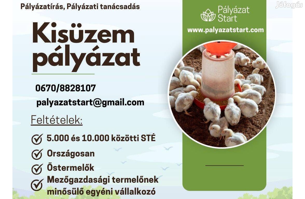 Kisüzem pályázatírás