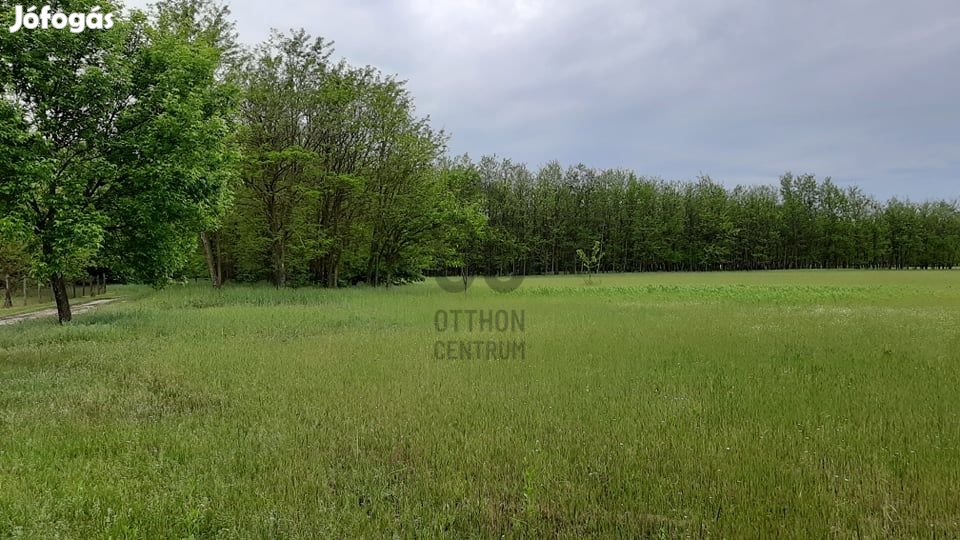 Kiváló befektetési lehetőség Nagykőrösön, a Szafari park közelében!