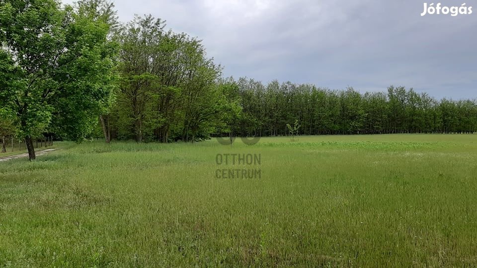 Kiváló befektetési lehetőség Nagykőrösön, a Szafari park közelében!