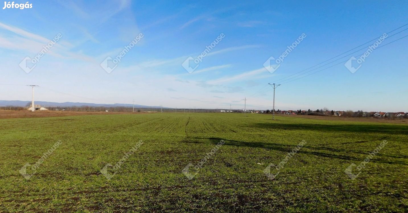 Kiváló helyen, 9770 m2 telek Mezőkövesden eladó