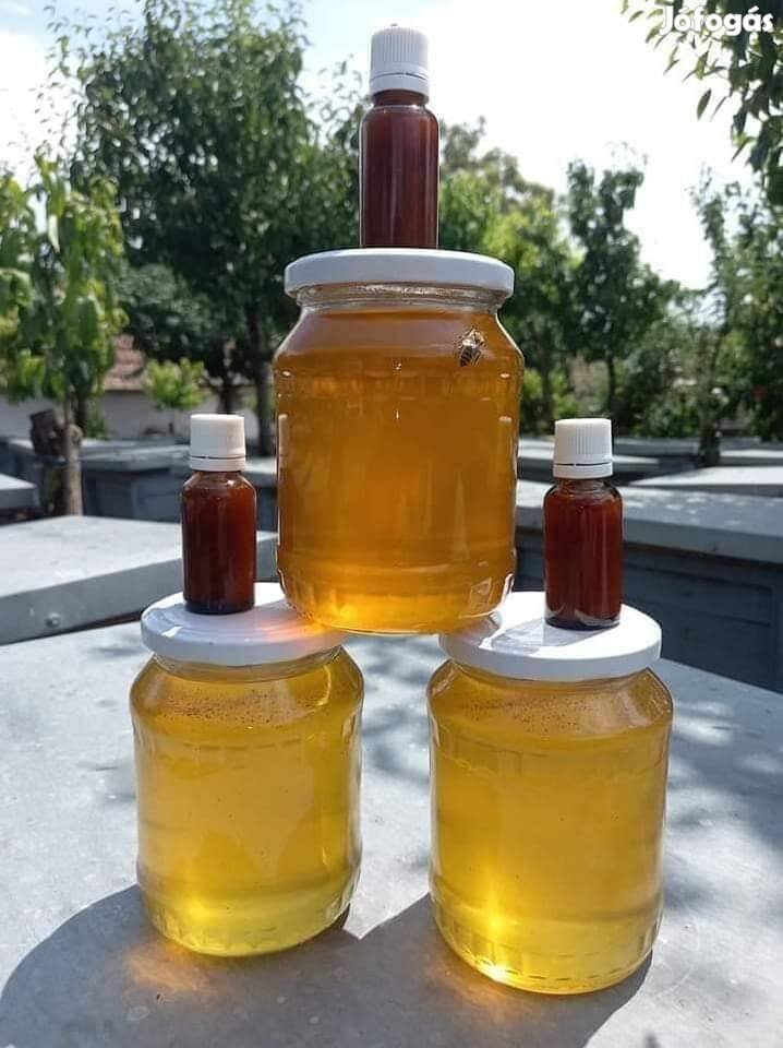 Kiváló minőségű akácméz kapható közvetlenül a termelőtől.