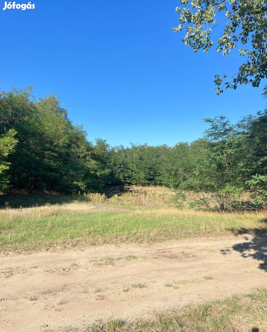Kivett tanya ingatlan Nyársapáton