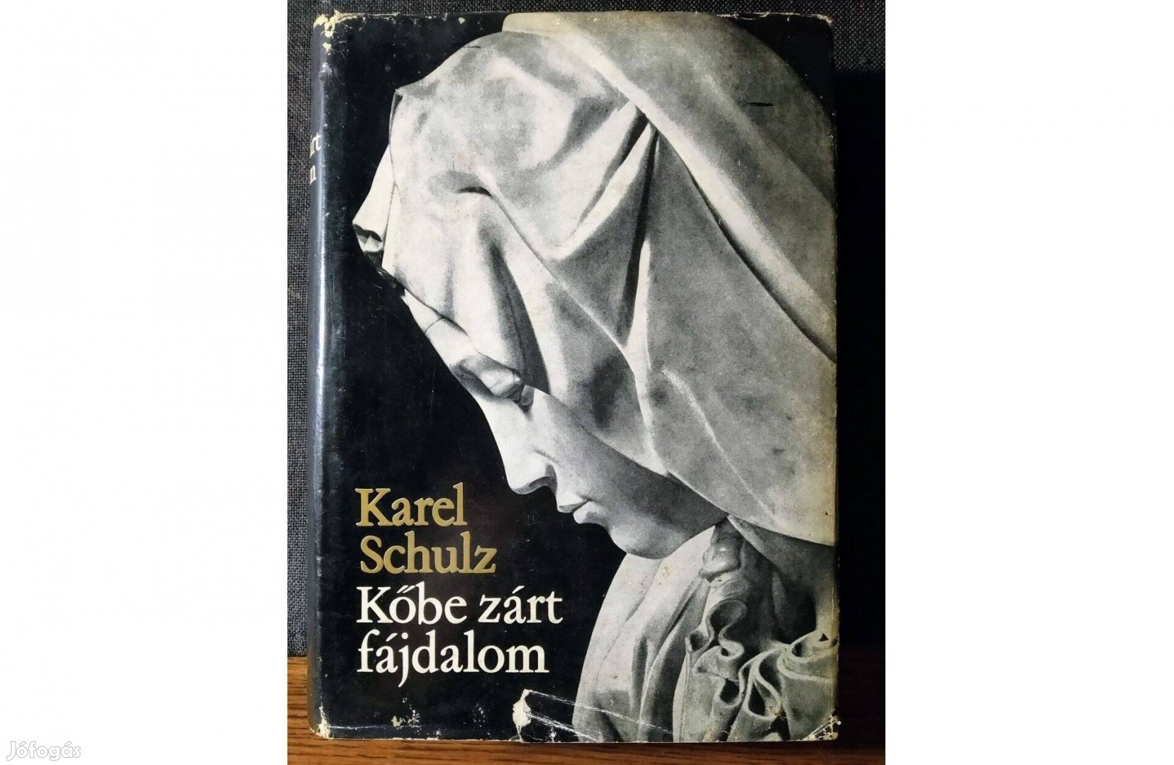 Kőbe Zárt Fájdalom /Karel Schulz/ Michelangelo Életregénye