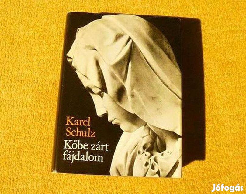 Kőbe zárt fájdalom, Michelangelo élete - Karel Schulz